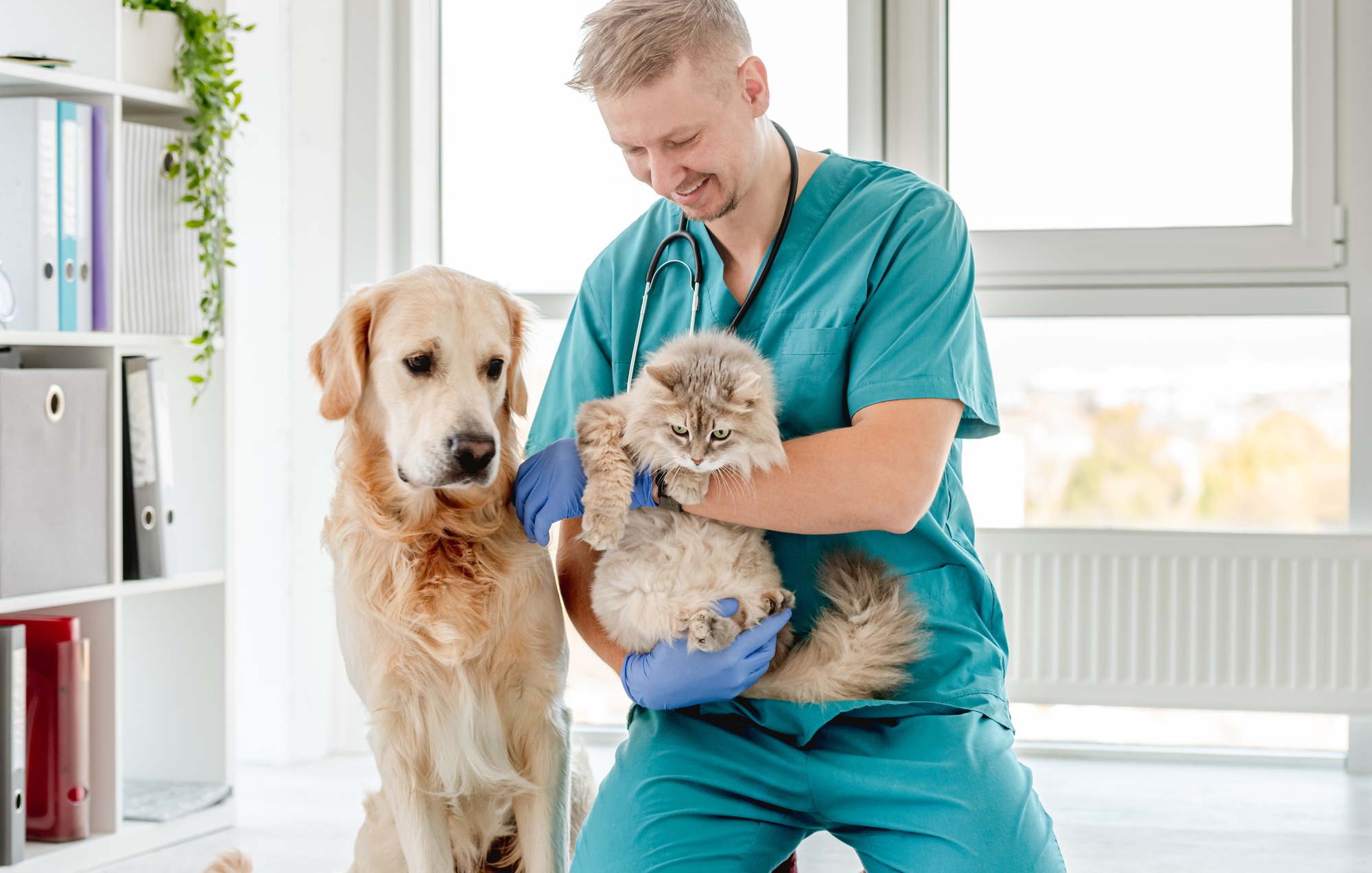 Vet with dog and cat in clinic