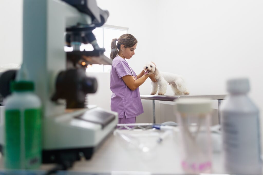 Veterinary Visit In Clinic With Vet And Sick Dog